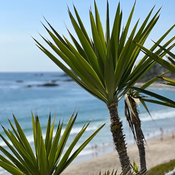 Meet your Posher, Heather - Picture 1 of 1